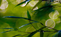 Iluminación, realización y sabiduría perfecta